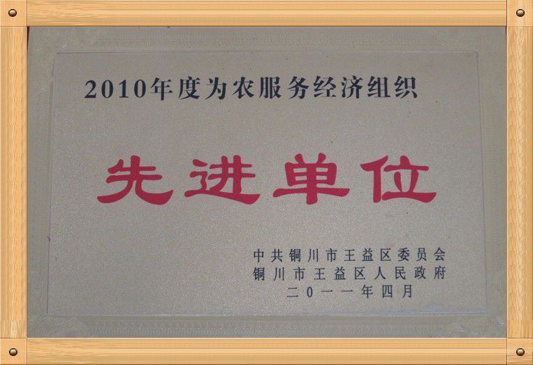 中共铜川市王益区委员会、铜川市王益区人民政府授予2010年度为农服务经济组织“先进单位”
