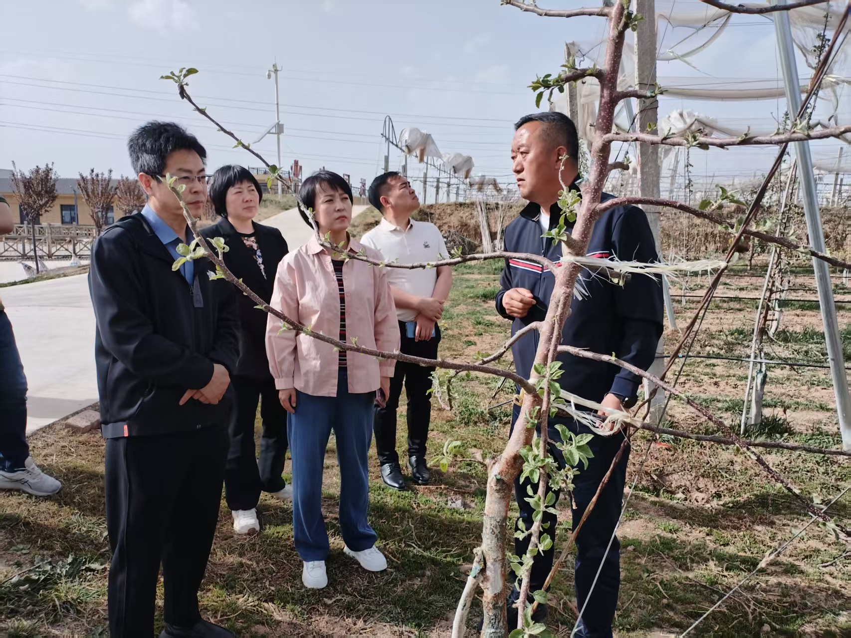 2025年4月16日铜川市供销合作社王婧副主任与”鲜丰汇“、华东农产品交易中