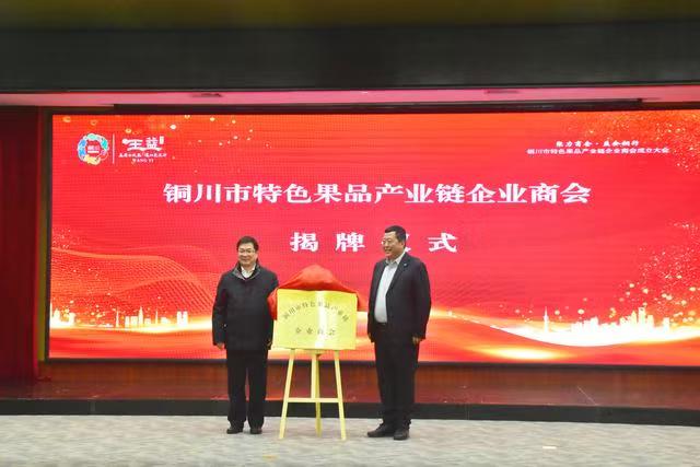 搭建产业新平台 共筑果业新未来 —— 铜